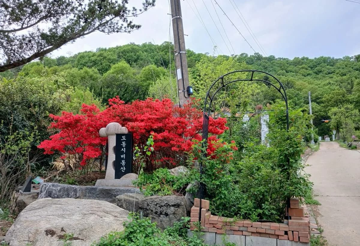 도동시비동산 표지석과 철쭉, 오른쪽으로 이어지는 산책길